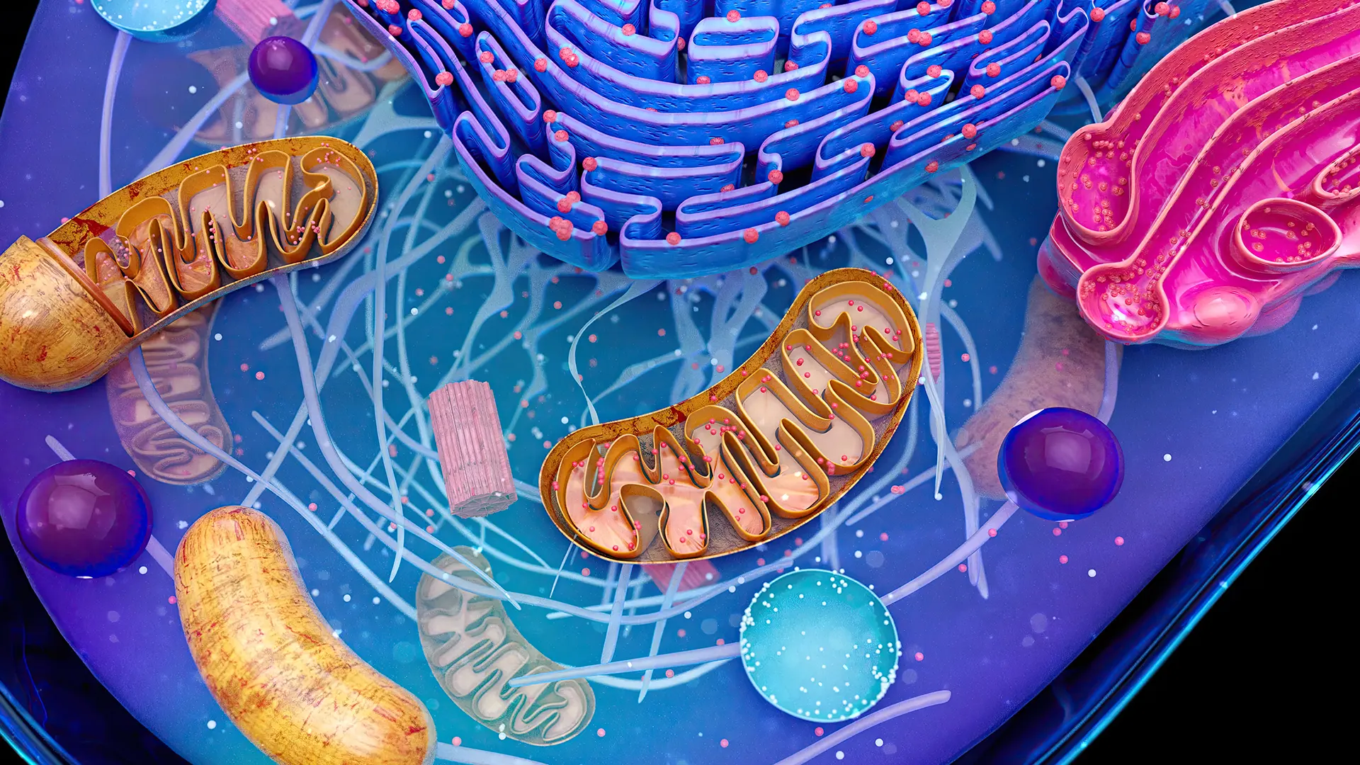 Glicose Silenciosa: Como Decifrar os Sinais de Alerta do Seu Metabolismo