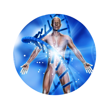 imagem de composição